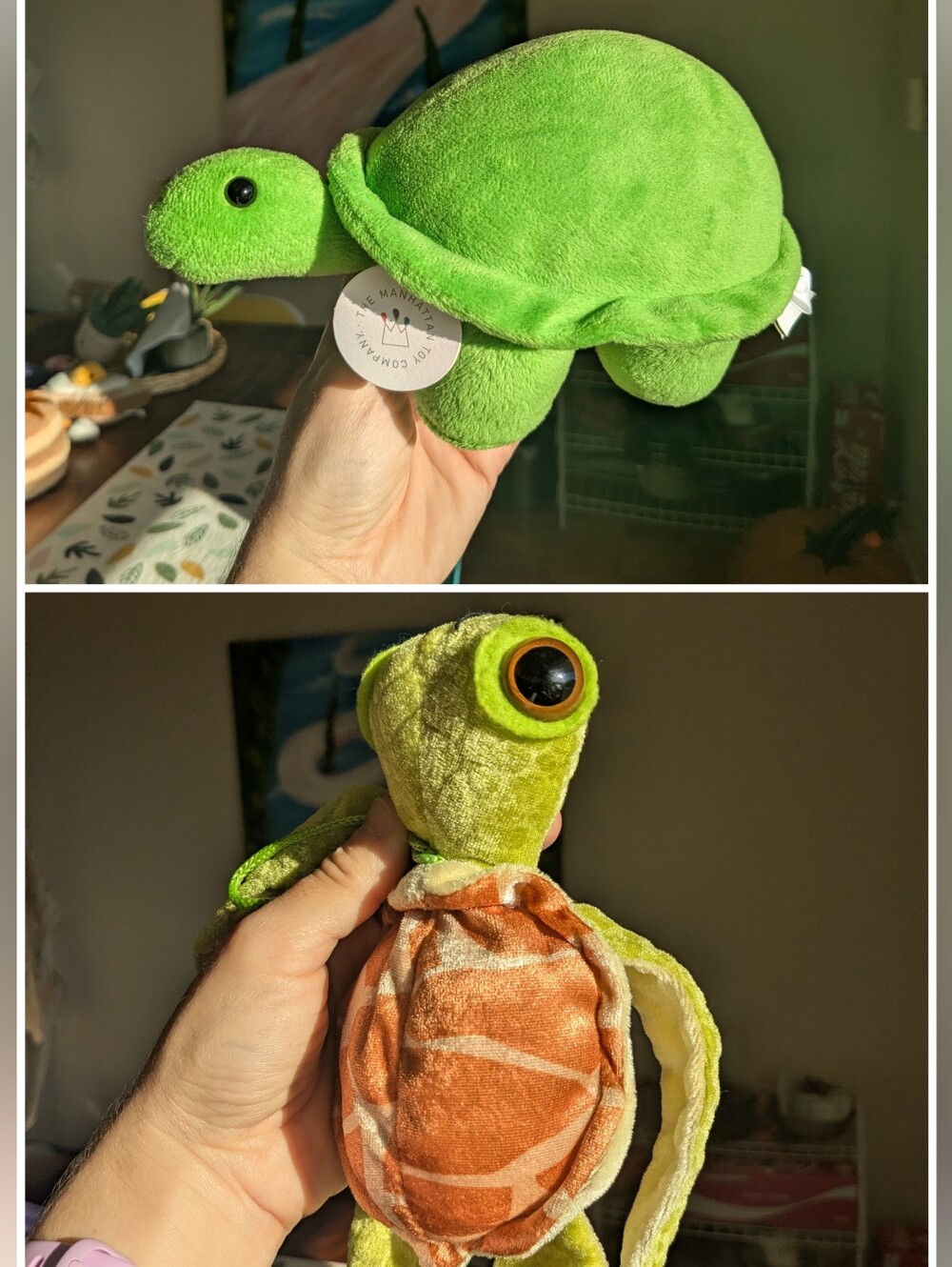 Turtle Plushie Duo 🐢🐢